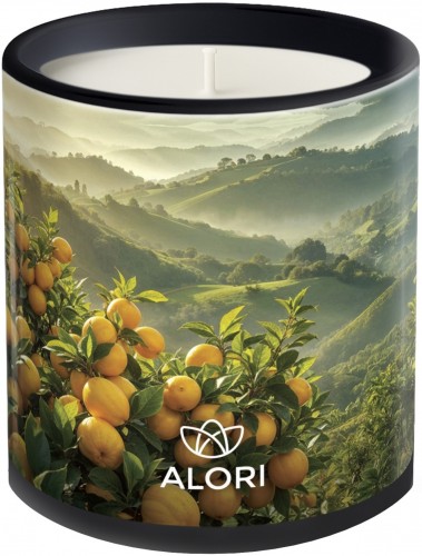 Sojakerze – Zitrus – schwarz 300 ml
