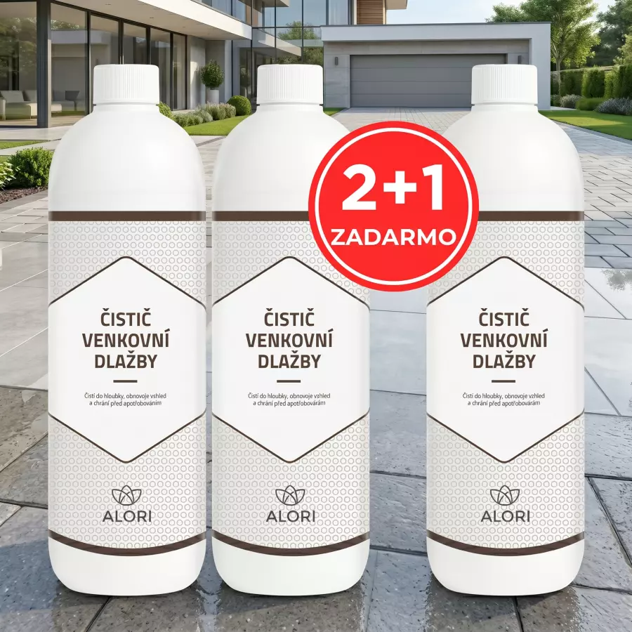 Reiniger für Außenfliesen 2+1 gratis